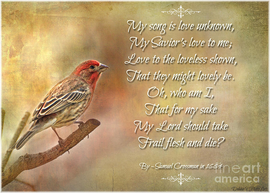 Male House Finch with Hymn II Photograph by Debbie Portwood