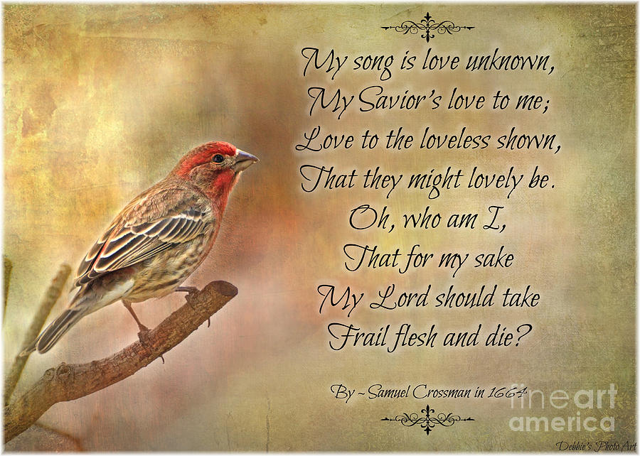 Male House Finch with Hymn IV Photograph by Debbie Portwood