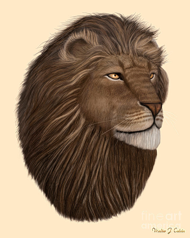 Male Lion Portrait Digital Art by Walter Colvin