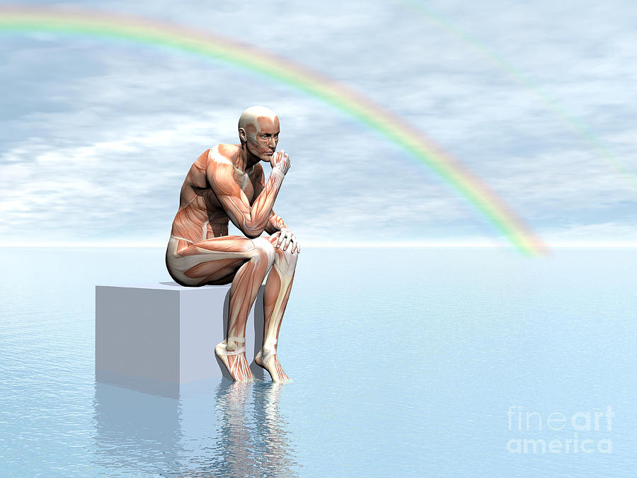 Male Musculature Sitting On A Cube Digital Art by Elena Duvernay