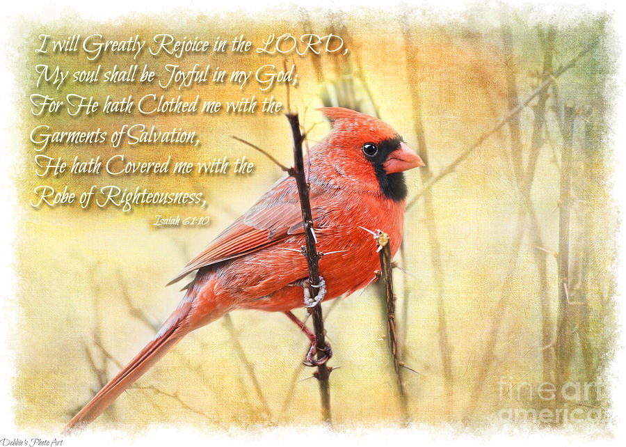 Male Northern Cardinal on Thorny A Twig with Verse Photograph by Debbie Portwood