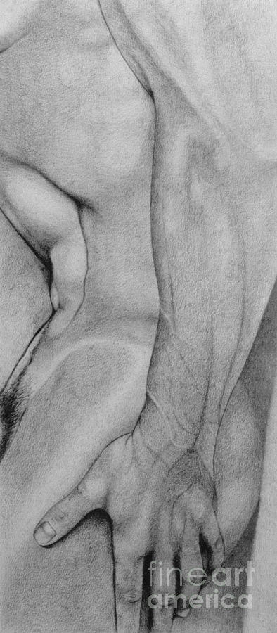 Graphite Drawing - Male nude 2 by Stefano Campitelli