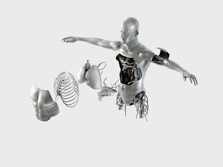 Male Robot Torso With Internal Organs Photograph by Ikon Ikon Images