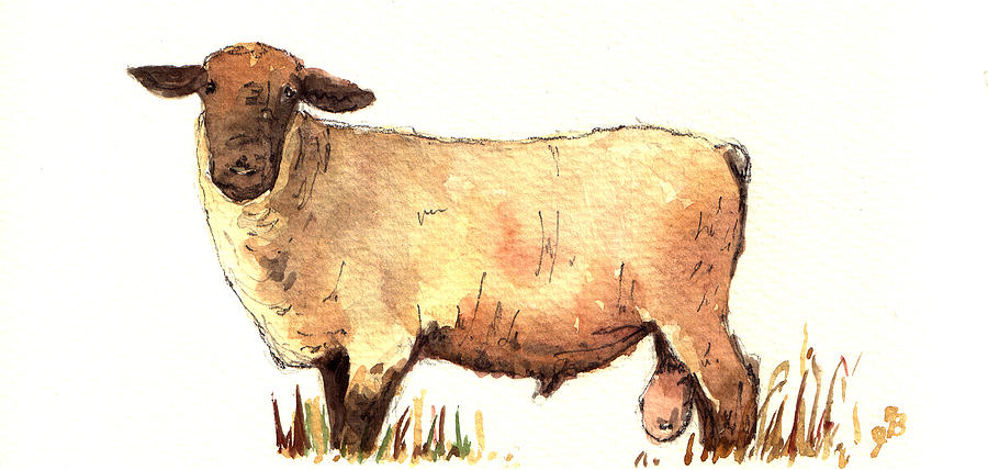 Sheep Painting - Male sheep black by Juan  Bosco