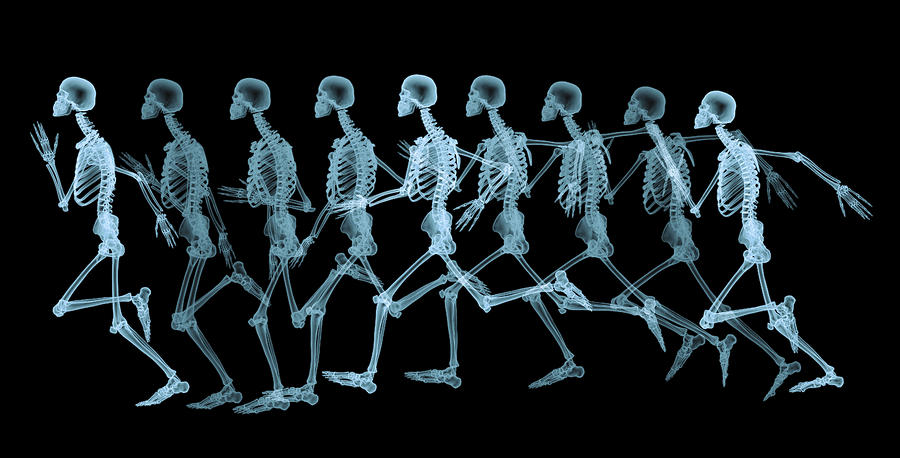 Male skeleton running Drawing by Doug Armand