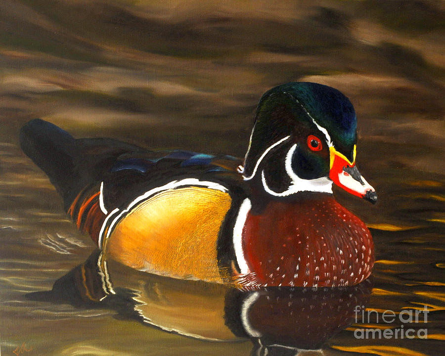 Male Wood Duck Portrait Painting by Jane Axman - Fine Art America