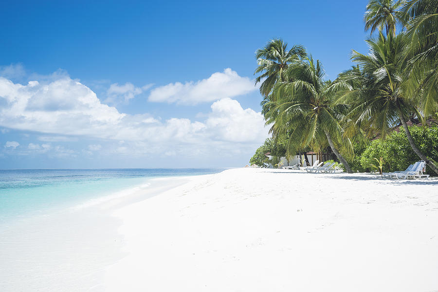 Maledives, Ari Atoll, view to empty dream beach with palms and beach loungers Photograph by Westend61