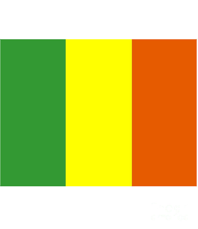 Flag Digital Art - Mali Flag by Frederick Holiday