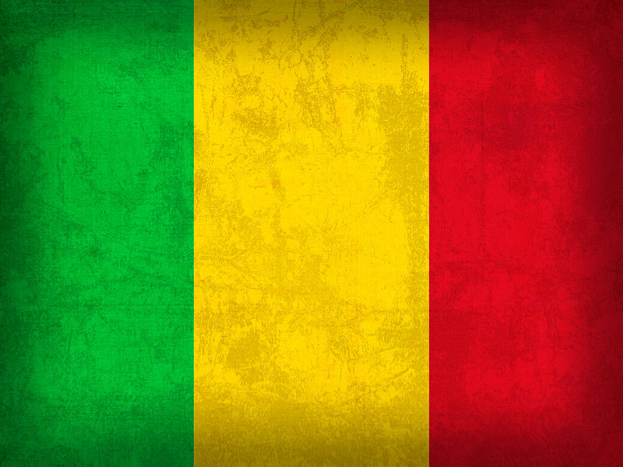 Vintage Mixed Media - Mali Flag Vintage Distressed Finish by Design Turnpike