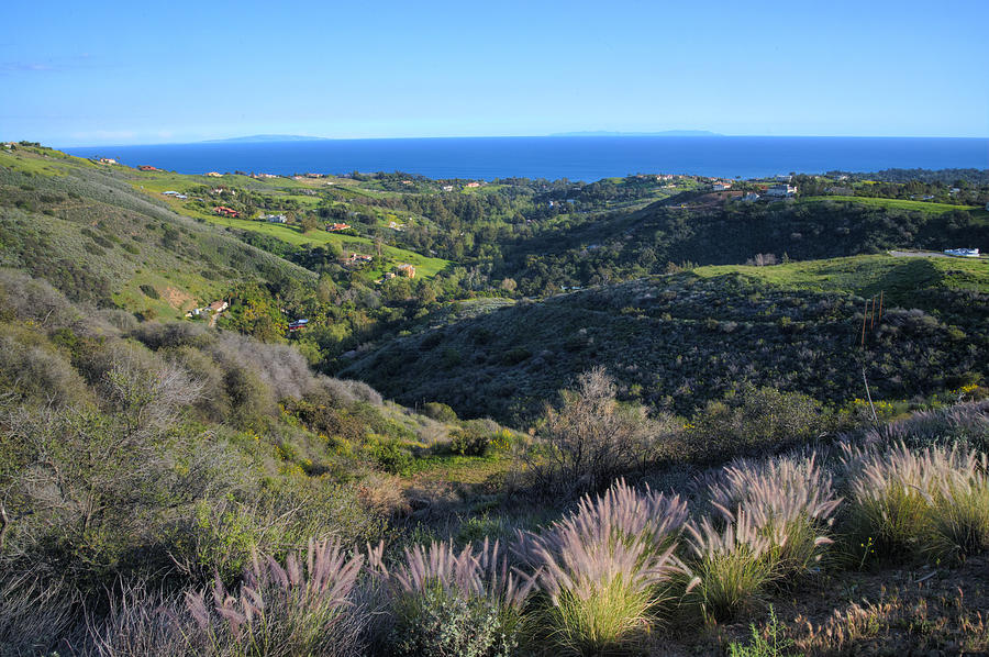 Malibu Hills on a Clear Spring Day Photograph by Lynn Bauer