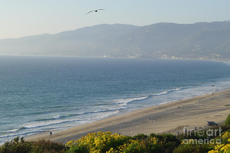 Malibu - View  Photograph by Nora Boghossian