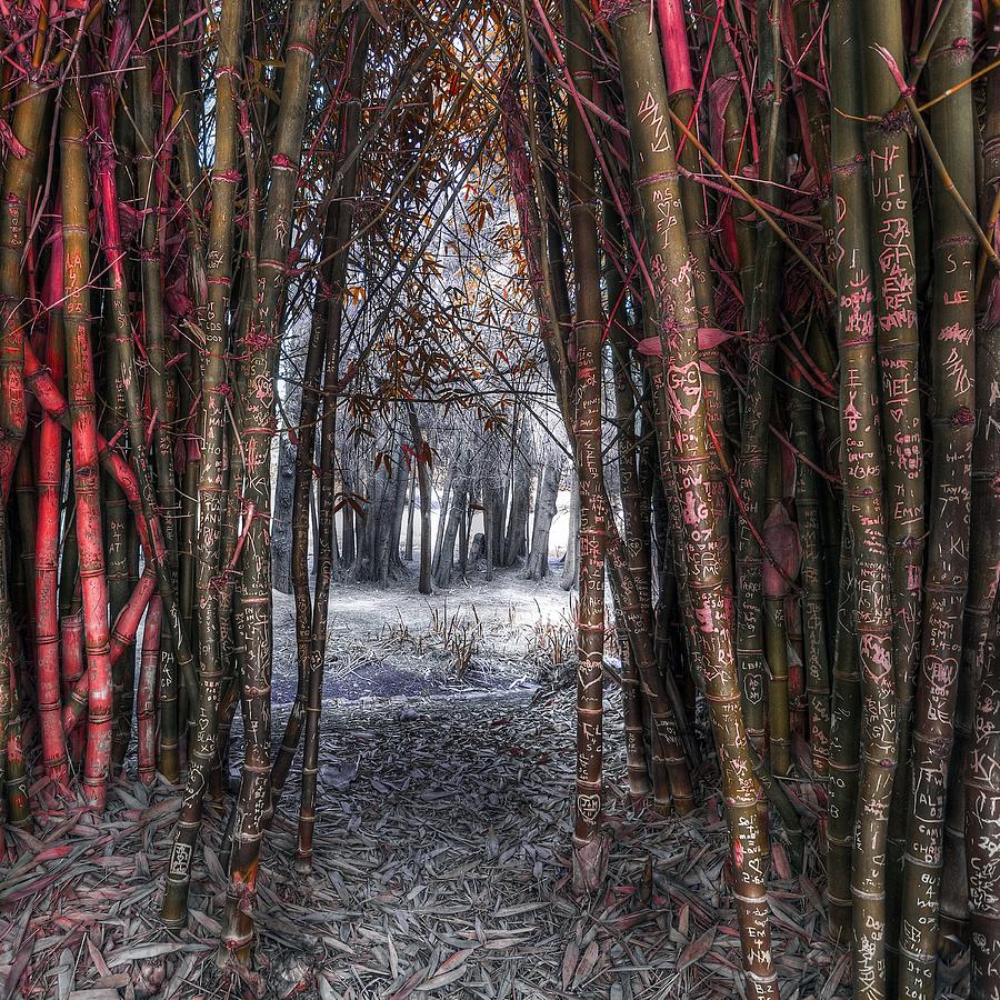 Leaves Photograph - Malice In Wonderland by Wayne Sherriff