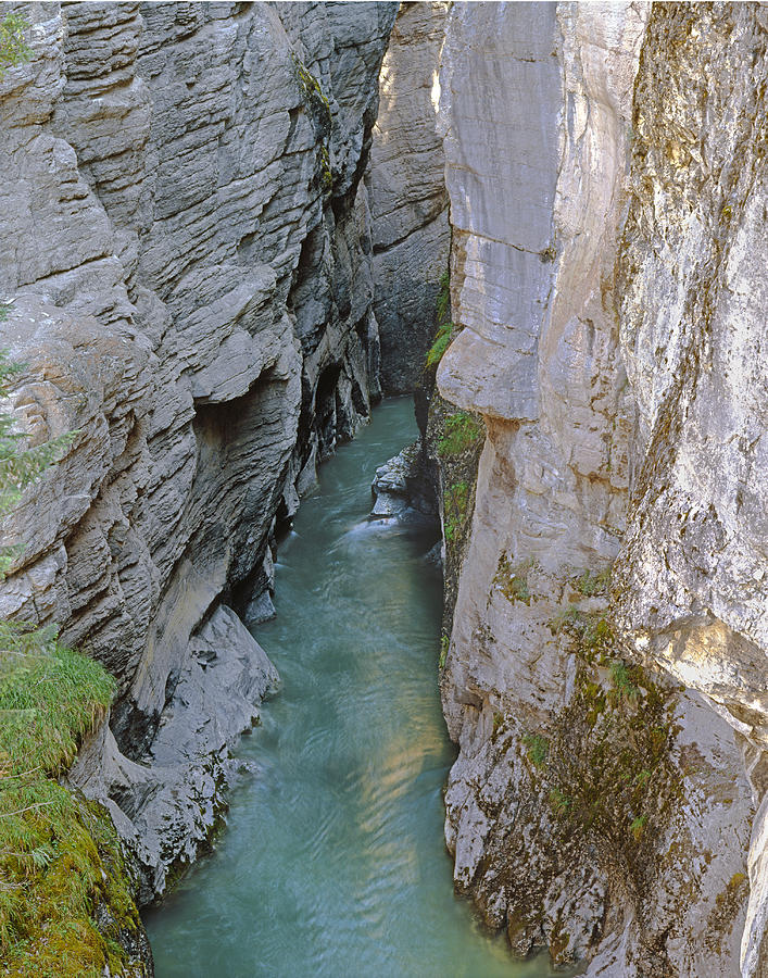 1M3918-Maligne Canyon Photograph by Ed  Cooper Photography