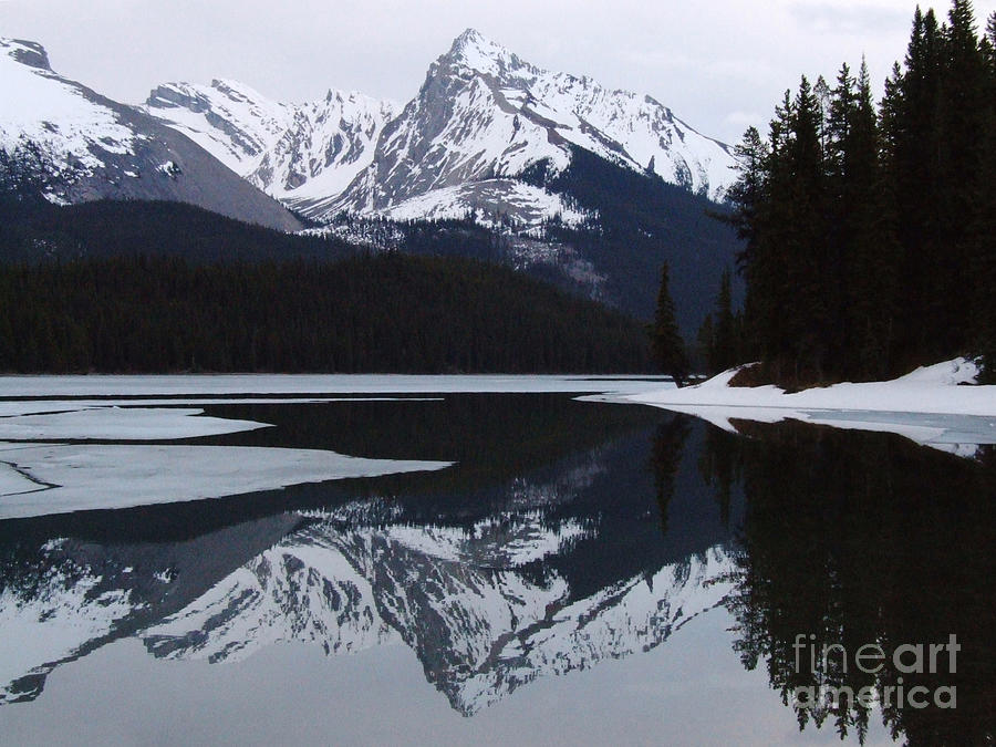 Maligne Lake - Icy Reflections Photograph by Phil Banks
