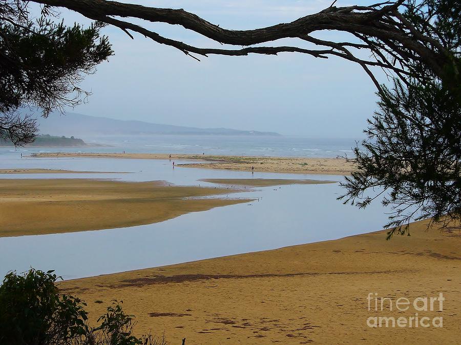 Mallacoota Inlet Photograph by Michele Penner