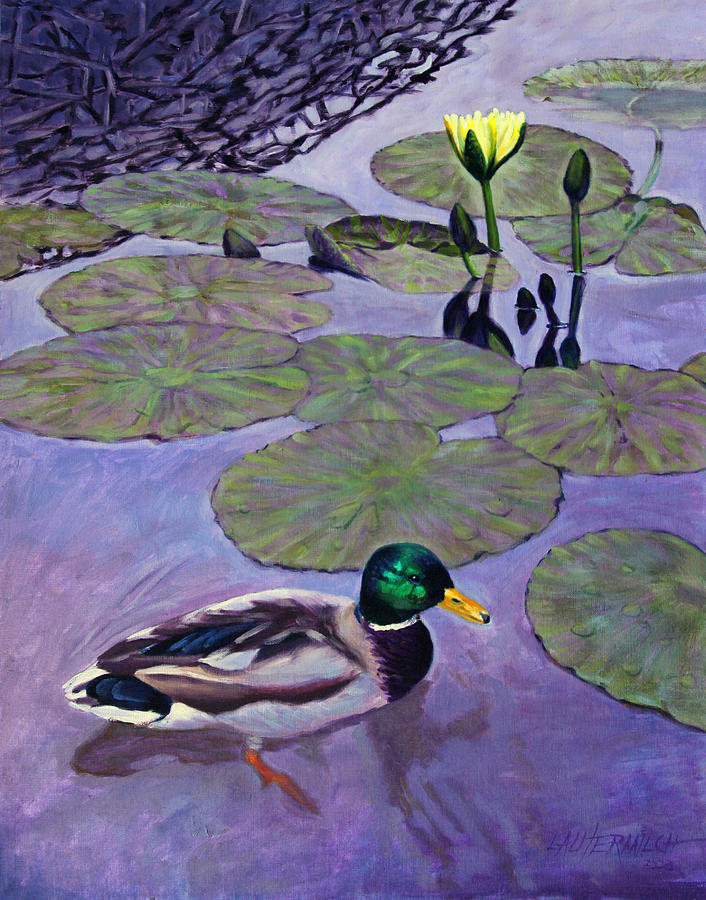 Mallard Duck in Lily Pond Painting by John Lautermilch