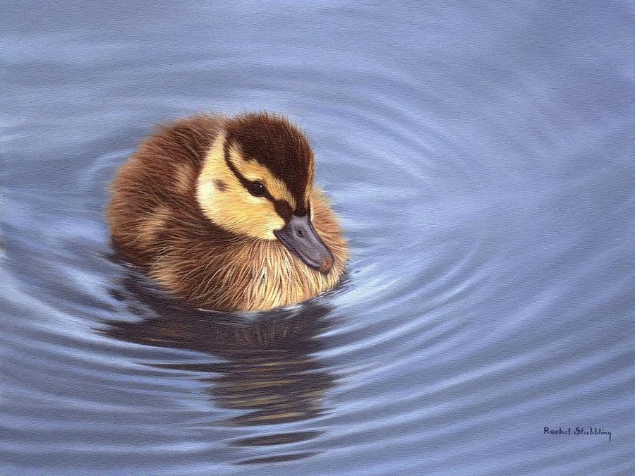 Duck Painting - Mallard Duckling Painting by Rachel Stribbling