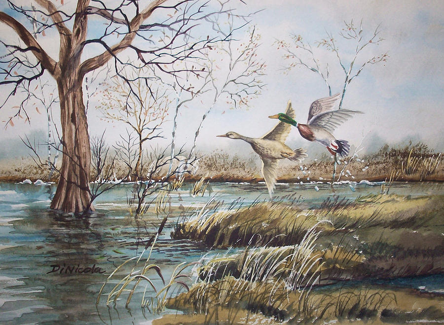 Mallard Takeoff Painting by Anthony DiNicola