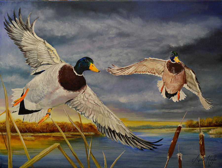 Drake Painting - Mallards Comin In by Alvin Hepler