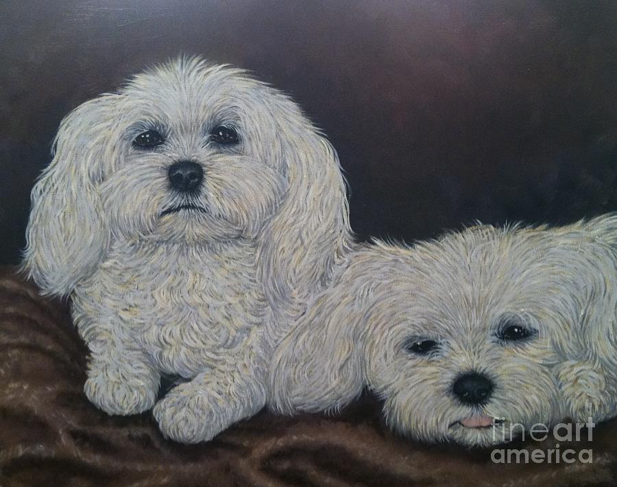Dog Painting - Malteses by Ana Marusich-Zanor