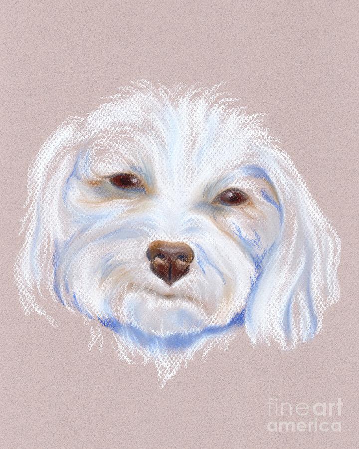 Maltipoo with an Attitude Pastel by MM Anderson
