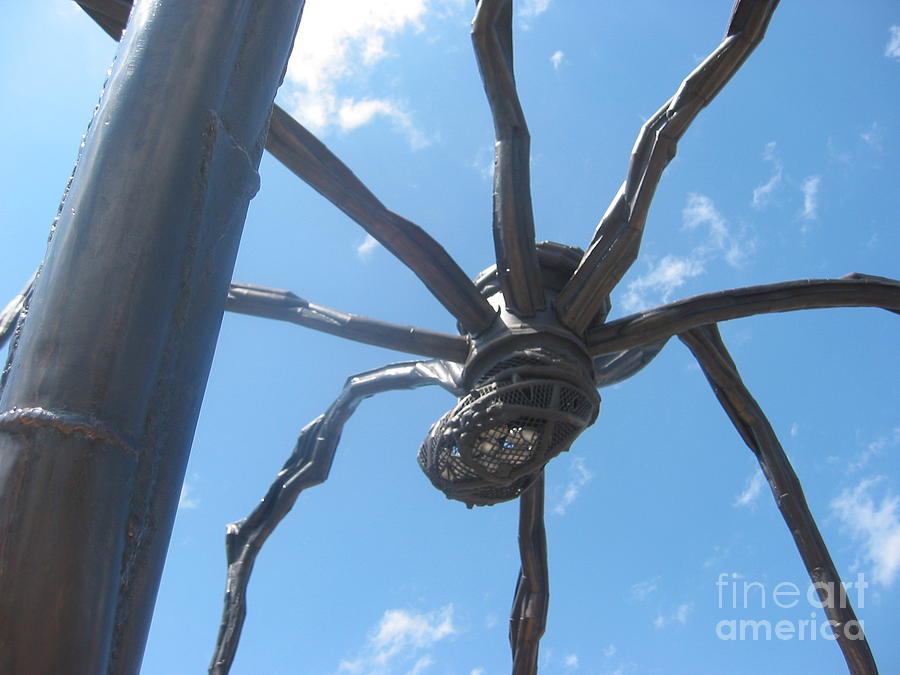 Spider Photograph - Maman by Andre Paquin