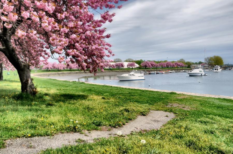 Mamaroneck Harbor Photograph by Diana Angstadt