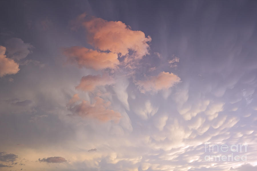Mammatus and Cumulus Photograph by Charline Xia
