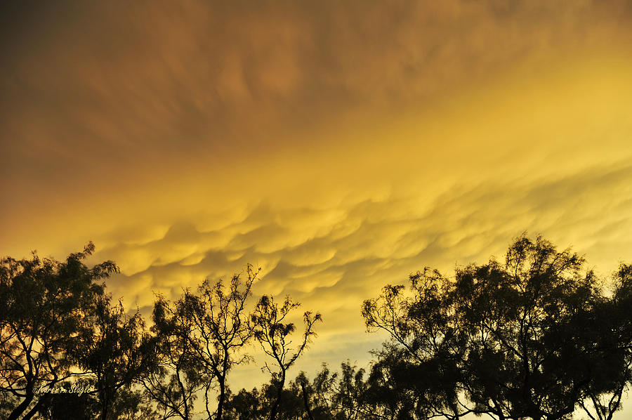Mammatus Clouds at Sunset Photograph by Karen Slagle