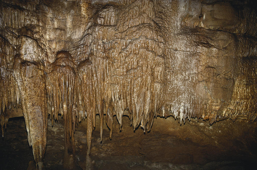 Mammoth Cave Photograph by John W. Bova