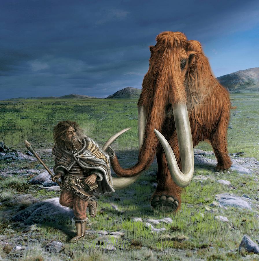 Mammoth Chasing A Caveman Photograph by Stefan Schiessl/science Photo Library