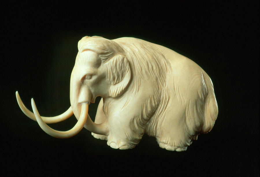 wooly mammoth figures