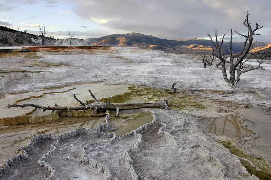 Mammoth Hot Springs at Dusk Photograph by Theo OConnor