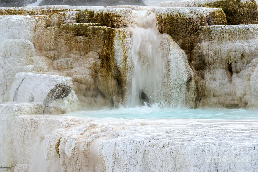 Mammoth Hot Springs Photograph by Deby Dixon