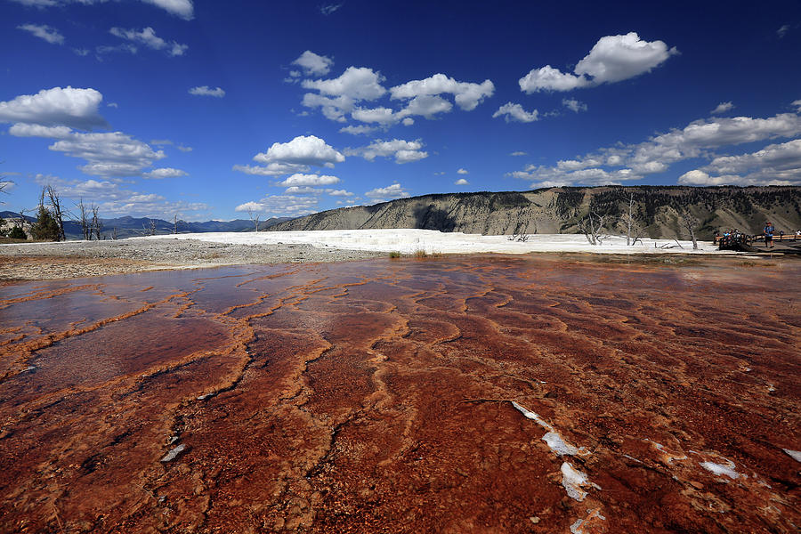 Mammoth Hot Springs Photograph by Jaki Good Photography - Celebrating The Art Of Life