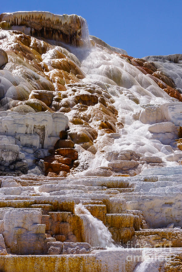 Mammoth Hot Springs Photograph by Jennifer White