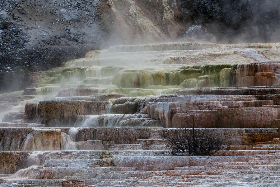 Mammoth Hot Springs Photograph by Wolfgang Woerndl - Fine Art America