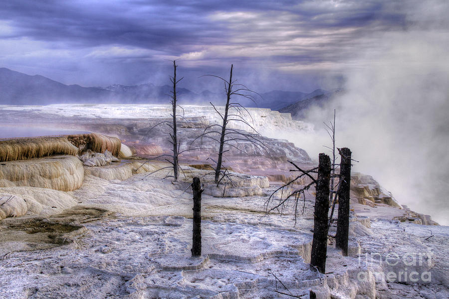 Mammoth Hot Springs Yellowstone Photograph by Inge Riis McDonald