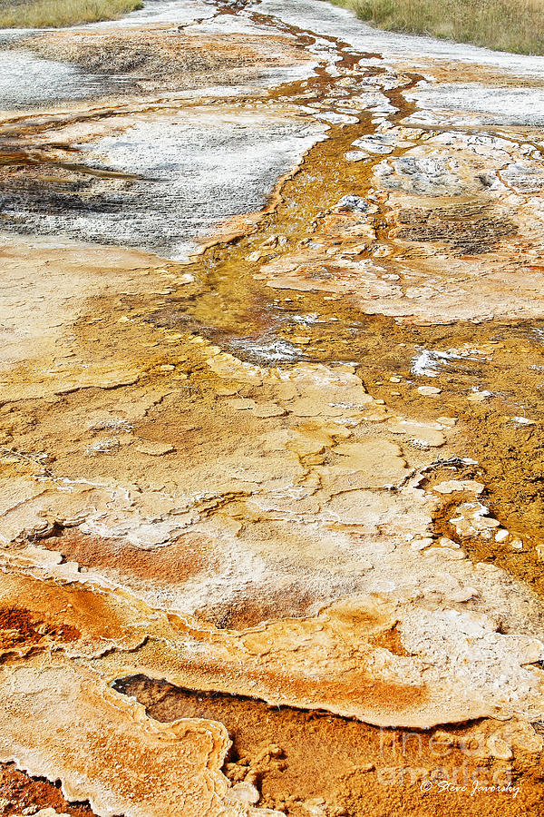 Mammoth Hot Springs Yellowstone National Park Photograph by Steve ...