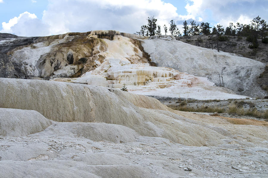 Mammoth Hot Springs, Yellowstone Np, Wy Photograph by Mark Newman