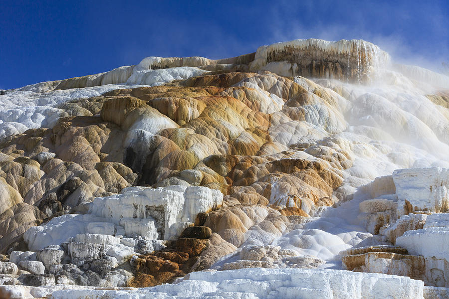 Mammoth Hot Springs Yellowstone Wyoming Photograph by Duncan Usher