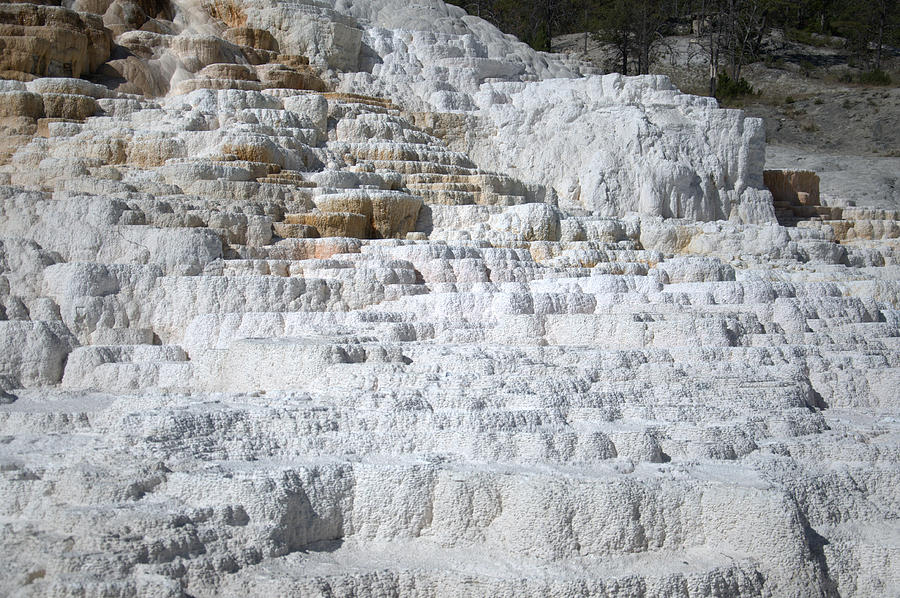 Mammoth Hotsprings 3 Photograph by Frank Madia