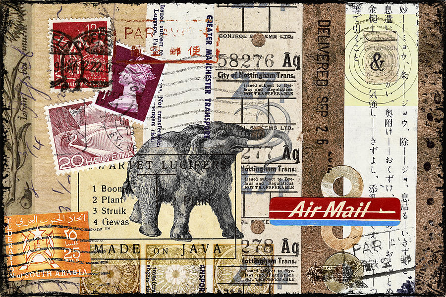 Vintage Photograph - Mammoth Mail by Carol Leigh