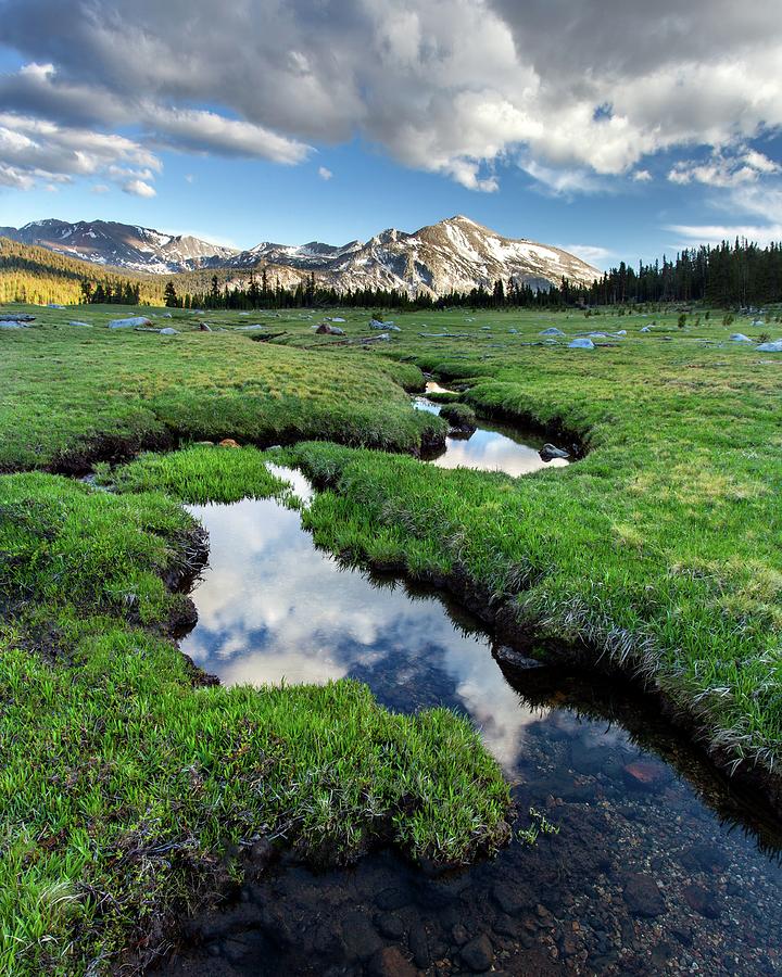Mammoth Peak And Meadow Photograph by Tom Grubbe