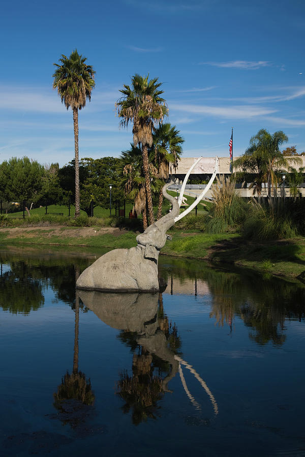 Vertical Photograph - Mammoth Sculpture In A Pool, La Brea by Animal Images Vertical Photograph - Mammoth Sculpture In A Pool, La Brea by Animal Images