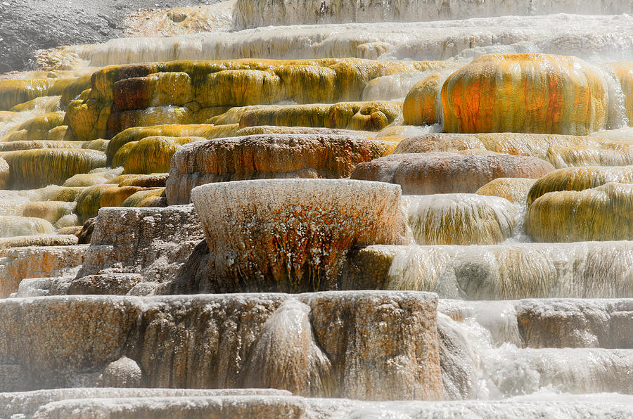 Mammoth Springs Photograph by Spencer Hughes