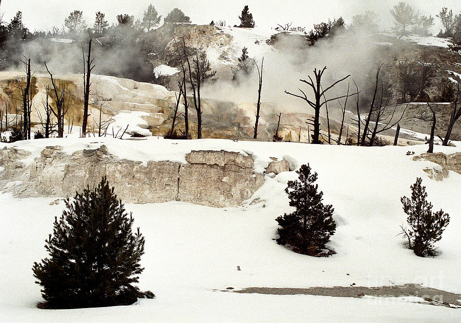 Mammoth Terraces in Winter Blanket Photograph by Sharon Elliott