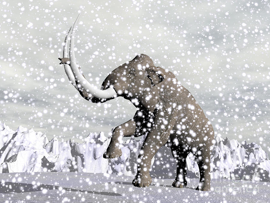 Mammoth Digital Art - Mammoth Walking Through A Blizzard by Elena Duvernay.