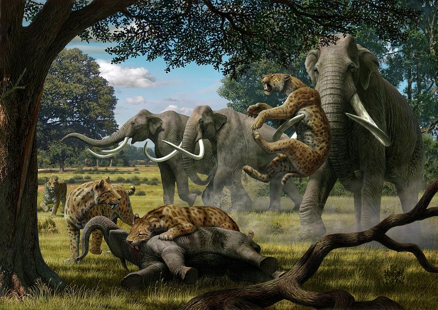 Mammoths And Sabre-tooth Cats Photograph by Mauricio Anton