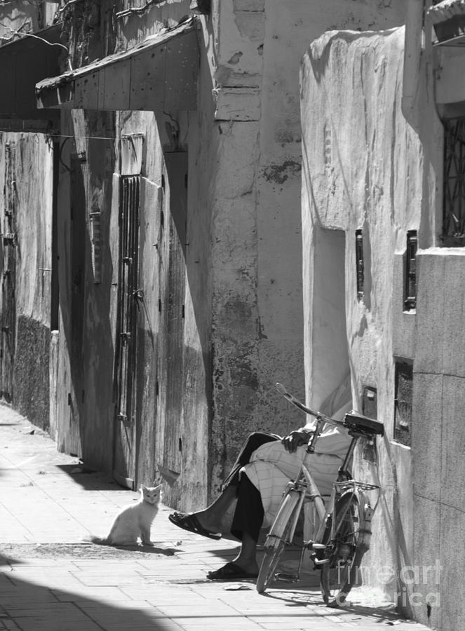 Bicycle Photograph - Man and Cat - Morocco by Louise Fahy